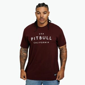 Férfi póló Pitbull West Coast Usa Cal burgundy (Usa Cal 214044470002) kép