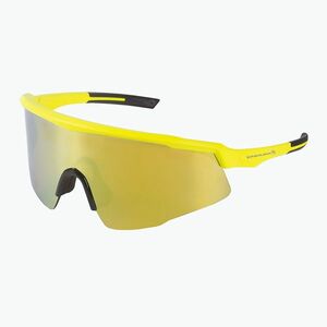 Napszemüveg Endura Shumba II 3+0+0 hi-viz yellow/smoke tint/full gold mirror (Shumba II 3+0+0 E1292YV) kép