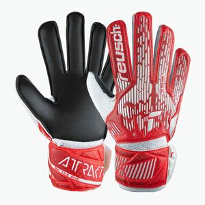 Kapuskesztyű Reusch Attrakt Solid poland (Attrakt Solid 5470016) kép