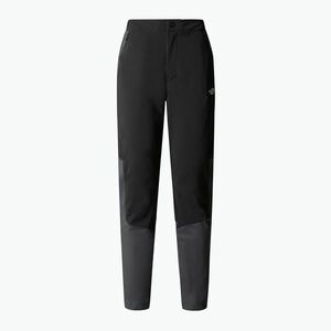 Női trekking nadrág The North Face Felik Slim Tapered black/asphalt grey (Felik Slim Tapered NF0A87HXKT01) kép