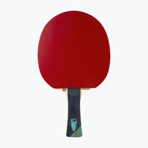 Pingpongütő Tibhar Master Alexis Lebrun (Master Alexis Lebrun 03032) kép