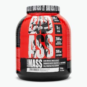 Gainer Fitness Authority Bad Ass Mass 3 kg vanilla (Bad Ass Meal BA-BAP000150R1.1) kép