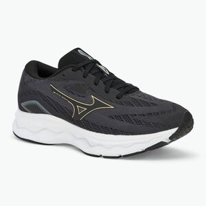 Férfi futócipő Mizuno Wave Serene ébenfa/arany halo/mizuno hófehér (Wave Serene J1GC245904) kép