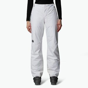 Női sínadrág The North Face Descendit white (Descendit NF0A87ZZFN41) kép