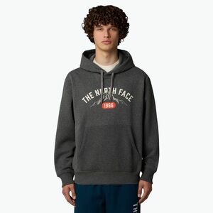 Férfi The North Face Varsity Graphic közepes szürke szürke póló (Varsity Graphic NF0A89DJDYY1002) kép