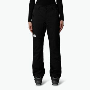Női sínadrág The North Face Lenado Short black (Lenado Short NF0A87X1JK31) kép
