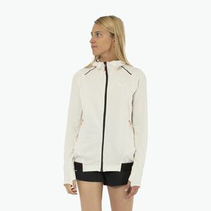 Női trekking pulóver Salewa Pedroc PL Hooded white (Pedroc PL Hd 00-0000028575) kép