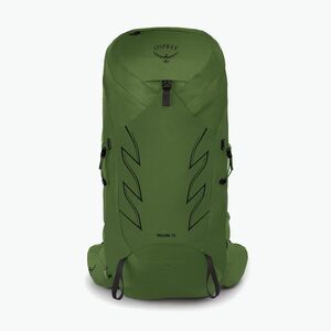 Férfi trekking hátizsák Osprey Talon 36 l (L-XL) zöld öv/fekete (Talon 36 10005815) kép