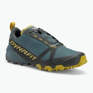 Férfi futócipő DYNAFIT Traverse GTX lichen/atlantic (Traverse GTX 08-0000064080) kép