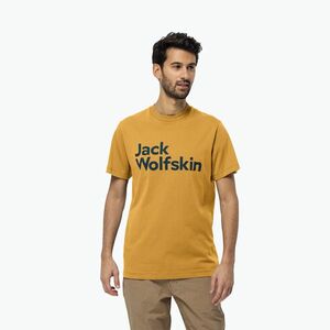 Jack Wolfskin Brand férfi trekking póló (Brand 1809591_M0042) kép