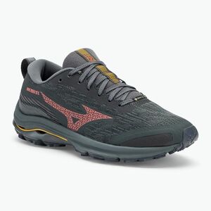 Női futócipő Mizuno Wave Rider GTX ébenfekete/ dubarry/ citrus (Wave Rider GTX J1GD227971) kép