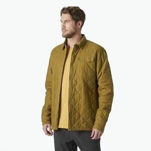 Férfi Helly Hansen Lifa Tech Graphic Graphic lynx póló (Lifa Tech Graphic 63255_787) kép