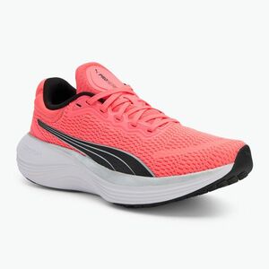 Futócipő PUMA Scend Pro sunset glow/puma black (Scend Pro 378776 30) kép