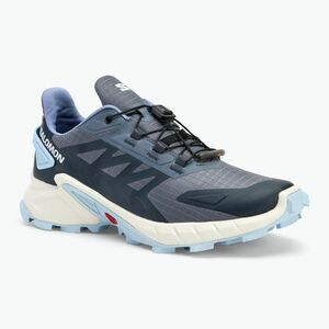Salomon Supercross 4 női futócipő grisaille/fehér/kaszmírkék (Supercross 4 L47461700) kép