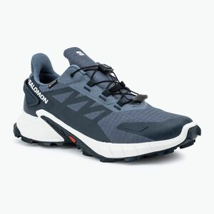 Férfi futócipő Salomon Supercross 4 GTX grisaille/fehér/karbon (Supercross 4 GTX L47462300) kép