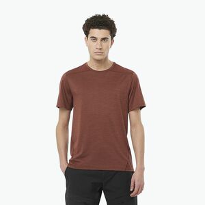 Férfi Salomon Outline rum mazsolás trekking póló (Outline LC2277800) kép