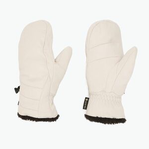 Női síkesztyű Salomon Native Gore -Tex white (Native Gore -Tex LC2415500) kép