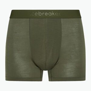 Férfi thermo boxeralsó jégtörő Merino 125 Cool-Lite Anatomica loden loden (Merino 125 Cool-Lite Anatomica IB0A571V0691) kép