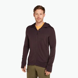 Férfi Icebreaker Merino 260 Quantum IV Zip Hoodie keserédes (Merino 260 Quantum IV Zip Hoodie IBBA56W2C991) kép
