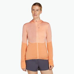 Icebreaker női trekking pulóver Merino 200 Realfleece Descender Zip Hoodie napkő/földpát női trekking pulóver (Merino 200 Realfleece Descender Zip Hoodie IBBA56YN02U1) kép