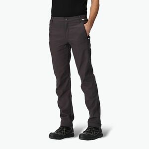Nadrág softshell férfi REGATTA Geo Softshell II ash (Geo Softshell II RMJ117-61I) kép