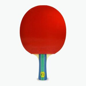 Double Fish 2A+ asztalitenisz ütő (2A+ DF230007) kép