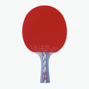 Double Fish 5A+ asztalitenisz ütő (5A+ DF230010) kép