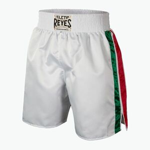 Férfi boxnadrág Cleto Reyes Satin Boxing white/green/red (Satin Boxing CC544BVR) kép