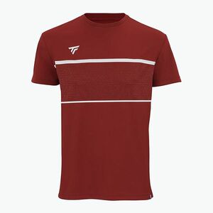 Gyerek teniszpóló Tecnifibre Team Tech Tee cardinal (Team Tech Tee 22TETECR3D) kép
