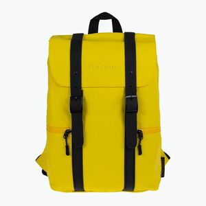 Városi hátizsák BERGSON Citybase 20 l spicy mustard (Citybase 20 CITYBASE20) kép