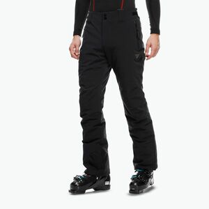 Férfi sínadrág Dainese Ariante Dermizax Ev stretch limo (Ariante Dermizax Ev 2047600016) kép