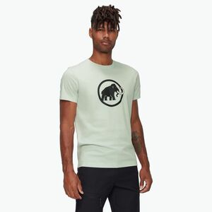 Férfi póló Mammut Core Classic silver sage (Core Classic 1017-05891-1288-113) kép