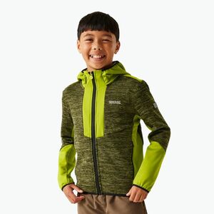 Gyermek fleece kapucnis pulóver REGATTA Dissolver X nefrit zöld/gránit zöld/fekete (Dissolver X RKA420-76D) kép