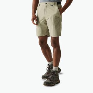 Férfi REGATTA Travel Light Packaway arany homok trekking rövidnadrág (Travel Light Packaway RMJ298-ND5) kép
