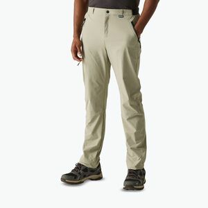 Férfi trekking nadrág REGATTA Travel Light Packaway arany homok (Travel Light Packaway RMJ300-ND5) kép