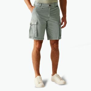 Férfi REGATTA Shorebay II viharszürke trekking rövidnadrágok (Shorebay II RMJ312-2DY) kép