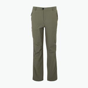 Férfi trekking nadrág REGATTA Highton II treetop (Highton II RMJ318-0B6) kép