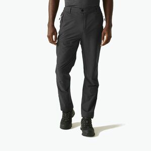 Férfi trekking nadrág REGATTA Highton II hamu (Highton II RMJ318-61I) kép