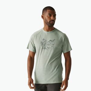 Férfi REGATTA Escade gleccser túraing póló (Escade RMT304-R6B) kép