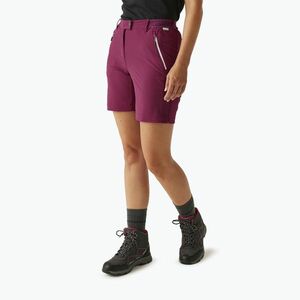 Női trekkingnadrág REGATTA Mountain II beaujolais (Mountain II RWJ256-5UU) kép