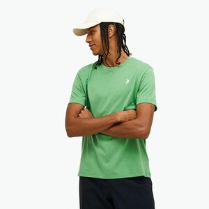 Peak Performance férfi Explore Graphic borsmenta póló (Explore Graphic G79744220) kép