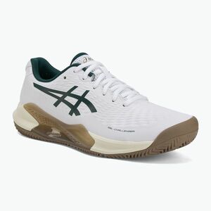 ASICS férfi teniszcipő Gel-Challenger 14 Clay fehér/saxon zöld (Gel-Challenger 14 Clay 1041A449-104) kép