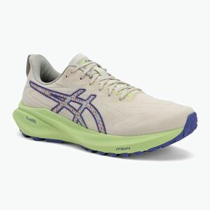 ASICS GT-2000 13 TR férfi futócipő természetfürdő/lime zöld (GT-2000 13 TR 1011C042-300) kép