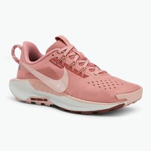 Női futócipő Nike Pegasus Trail 5 red stardust/ red sepia/ photon dust/ pink oxford (Pegasus Trail 5 DV3865-600) kép