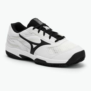 Férfi teniszcipő Mizuno Break Shot 5 CC white/ black/ harbor mist (Break Shot 5 CC 61GC252509) kép