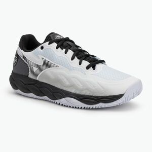 Férfi teniszcipő Mizuno Wave Enforce Court CC white/ black/ iron gate (Wave Enforce Court CC 61GC243509) kép