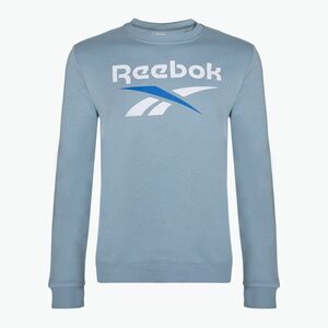 Férfi Reebok Identity Big Logo Fleece Crew melegítőfelső upgrade kék (Identity Big Logo Fleece Crew 100216163) kép