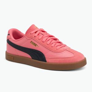 PUMA Club II Era magic rose/vew navy/gum cipő (Club II Era 397447 26) kép