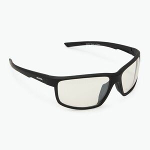 Alpina napszemüveg (Defey A8645330) kép