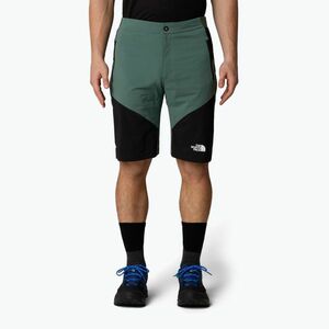 Férfi trekking rövidnadrág The North Face Felik Slim Tapered Short duck green/tnf black. Méret: 36 kép